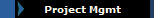 Project Mgmt